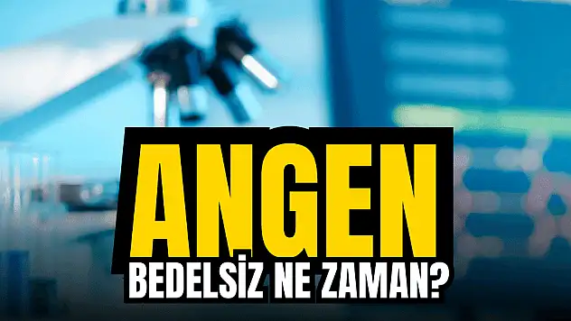 Angen ne zaman bölünecek, yüzde 100 bedelsiz tarihi!