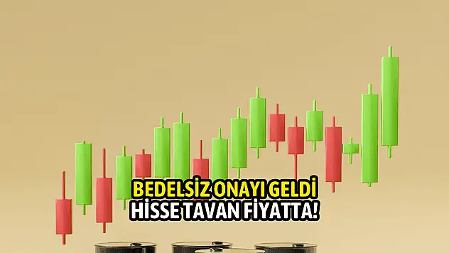 Bedelsiz onayı geldi hisse tavan fiyata yükseldi!