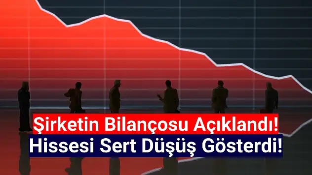 Bilançosunu açıklayan şirketin hisseleri sert düştü!