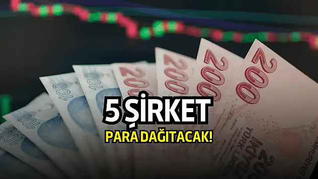 Borsada 5 şirket, bu hafta para dağıtacak!