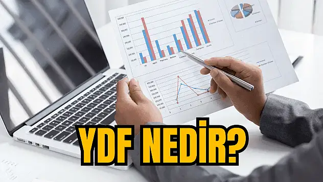 Borsada YDF nedir, hissede YDF ne demek, nasıl bakılır?