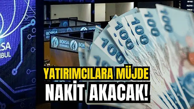 Bu hafta 5 şirket yatırımcılara temettü dağıtacak!