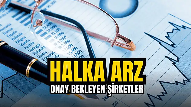 Bu hafta halka arz onayı bekleyen şirketler