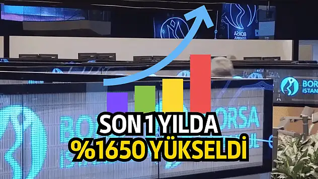 Bu hisse, sadece 1 yılda %1650 kazandırdı!