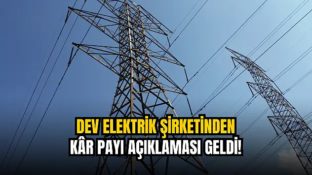 Dev elektrik şirketi, kâr payı kararını açıkladı!