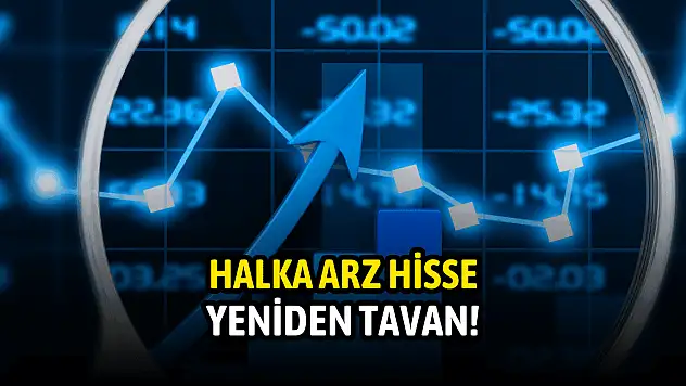 Geçen hafta düşen halka arz hisse bugün tavan!