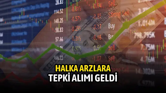 Halka arz hisselerde tepki alımı!