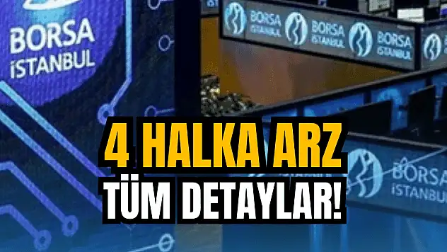 Halka arz onayı alan 4 şirket hakkında tüm detaylar!