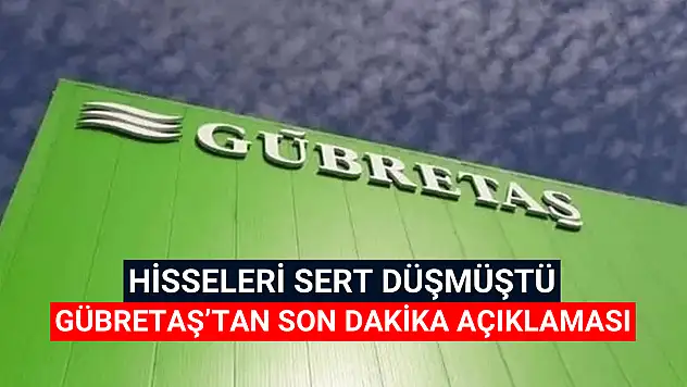 Hisseleri sert düşen Gübre Fabrikaları'ndan son dakika açıklaması!
