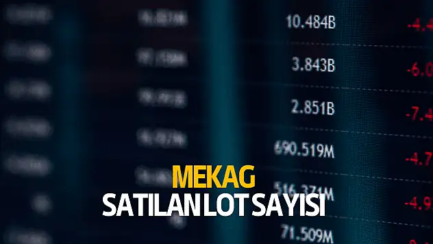 MEKAG ilk gün kaç lot satıldı?