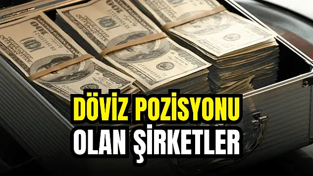Net döviz pozisyonu artı olan şirketler 2023!