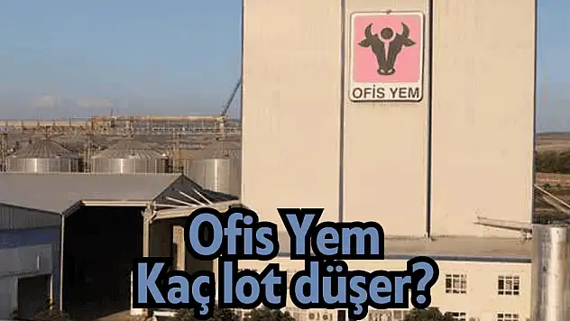 Ofis Yem (OFYEM) halka arz kaç lot verir, ne zaman işlem görecek?