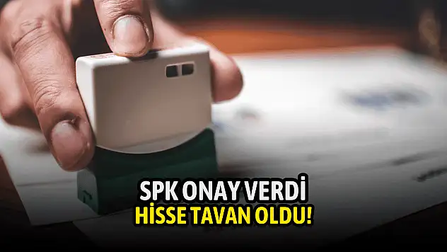 Şirketin rekor başvurusu onaylandı, hisseleri tavan gördü!