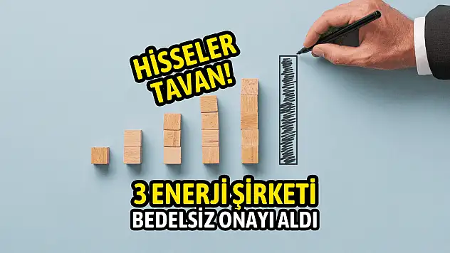 SPK 3 enerji şirketine bedelsiz onayı verdi! Hisseler TAVAN!