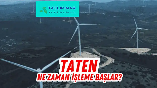 TATEN borsada ne zaman işlem görecek? HALKA ARZ