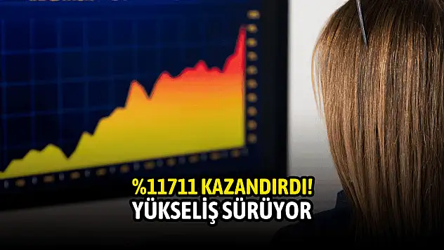 Yatırımcısına %11711 kazandıran hissede yükseliş sürüyor!