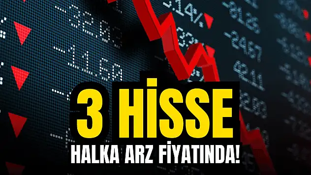 Yeni halka arz 3 şirketin hissesi, halka arz fiyatına kadar düştü!