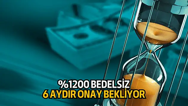 Yüzde 1200 bedelsiz için SPK'dan 6 aydır onay bekliyor!