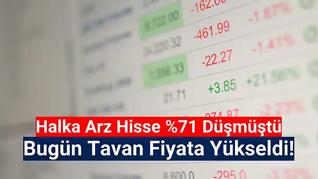 Yüzde 71 düşen hisseyi tavan fiyata götürdüler!