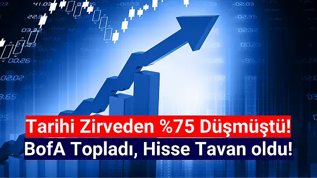 Yüzde 75 düşen hisseyi BofA topladı! Hisse TAVAN oldu!