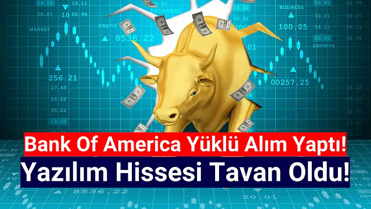 14 TL'den yükselişe geçen yazılım hissesi, 164 TL'yi gördü!