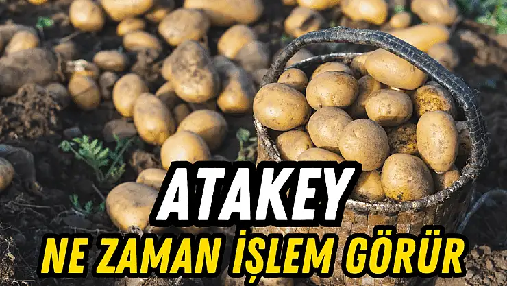 Atakey Patates halka arz sonuçları, kaç lot verdi? ATAKP ne zaman işlem görecek?