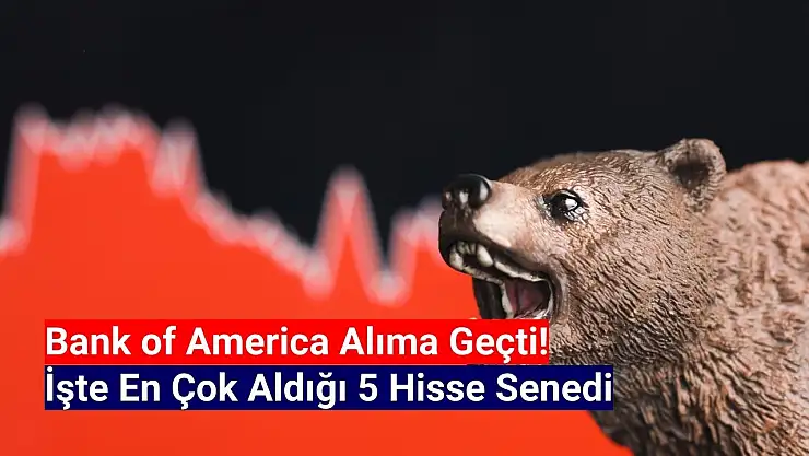Bank of America (BofA) bu hisseleri topluyor!