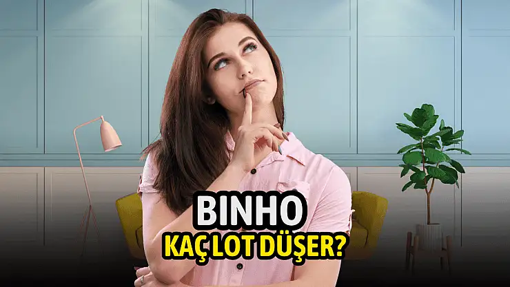 BINHO kişi başı kaç lot düşer! 1000 Yatırımlar Holding halka arz!