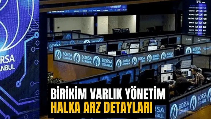 Birikim Varlık Yönetim halka arzına dair bilinmesi gerekenler