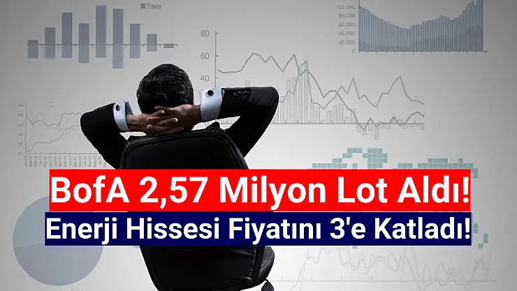 BofA 2,57 milyon lot aldığı enerji hissesini tavana götürdü!