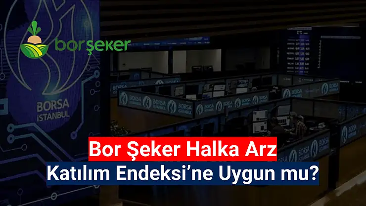 Bor Şeker katılım endeksine uygun mu? HALKA ARZ