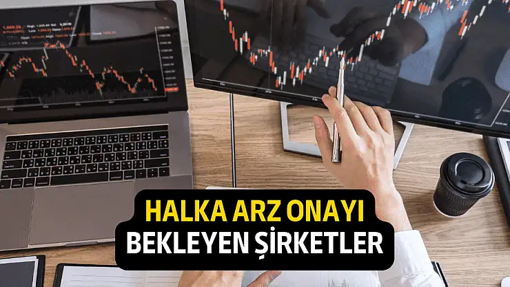 Bu hafta SPK'dan halka arz onayı bekleyen şirketler!