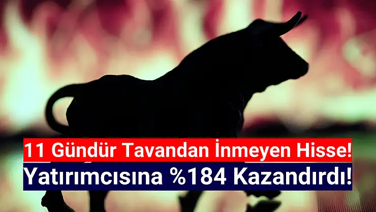 Bu hisse 11 gündür tavandan inmiyor!