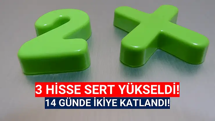Bu hisselerin değeri 14 günde 2'ye katlandı!