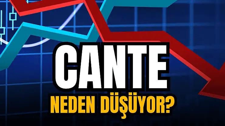 CANTE hisseleri neden düşüyor?