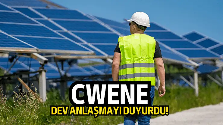 CW Enerji ve Çemtaş, Kars'ta Güneş Enerjisi Santrali İçin Anlaştı