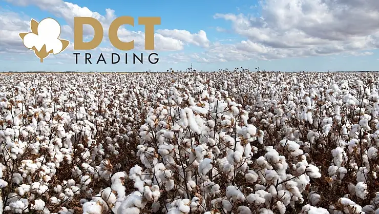DCT Trading Dış Ticaret'ten (DCTTR) dev ihracat!