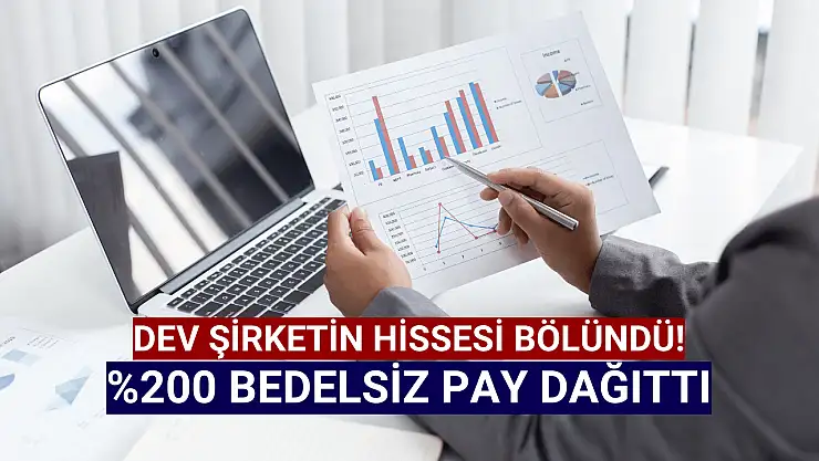 Dev şirketin hissesi bölündü!