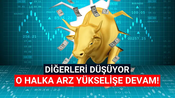 Diğerleri düşerken o halka arz yola devam ediyor!
