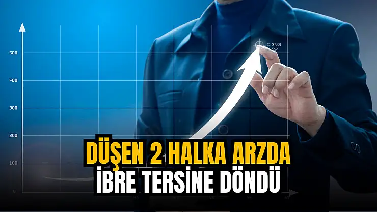 Düşen 2 halka arzda ibre tersine döndü!