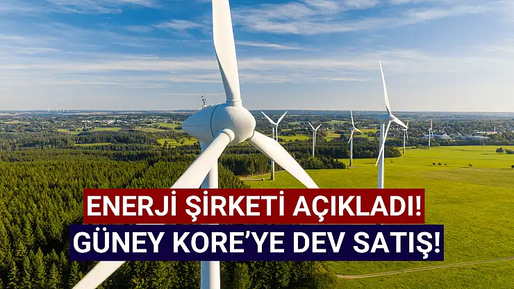 Enerji şirketinden Güney Kore'ye milyon avroluk satış!