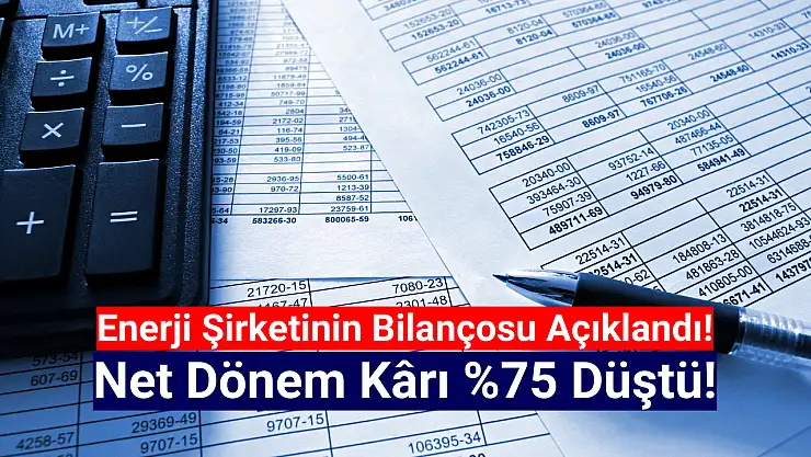 Enerji şirketinin net kârı yüzde 75 düştü!