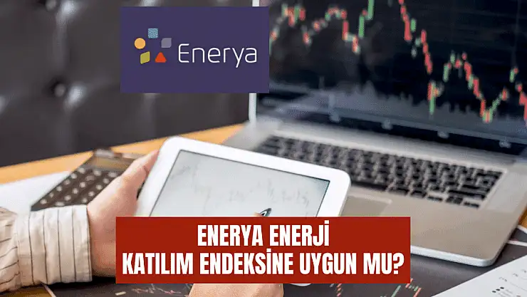 Enerya Enerji halka arz katılım endeksine uygun mu?