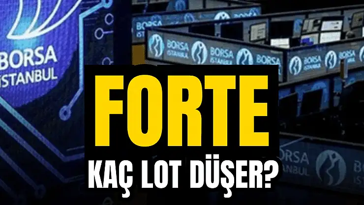 Forte halka arz kaç lot verir, borsa ne zaman işlem görecek?