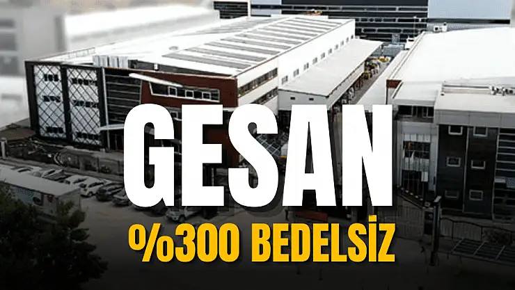 Girişim Elektrik bedelsiz ne zaman, GESAN ne zaman bölünecek?