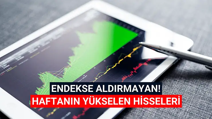 Haftanın en çok kazandıran hisseleri!