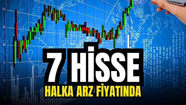 Halka arz fiyatı ya da altında işlem gören 7 hisse senedi!