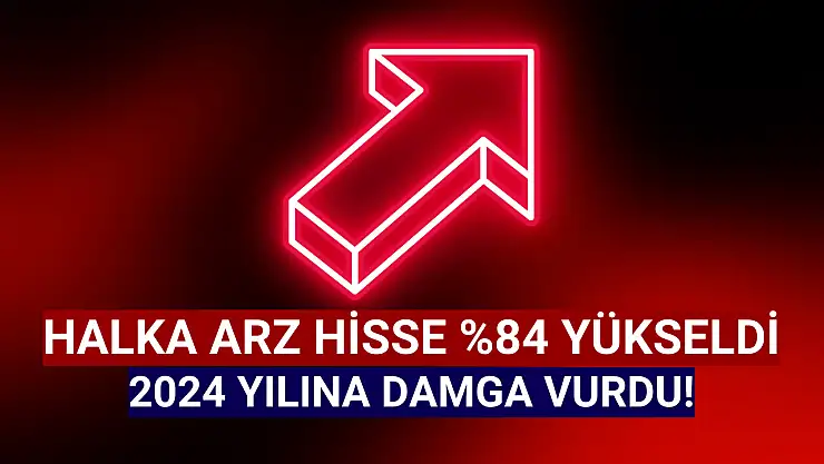 Halka arz hisse 2024'e damga vurdu!