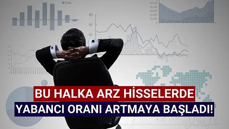 Halka arz hisselere yabancı ilgisi arttı!