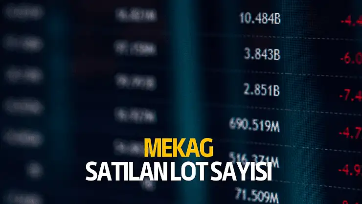 MEKAG ilk gün kaç lot satıldı?